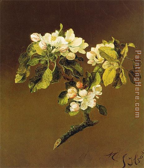 Martin Johnson Heade A Spray of Apple Blossoms 1870